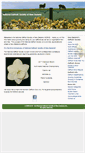 Mobile Screenshot of daffodil.org.nz